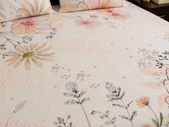 Peach Cream Bedsheet Set - 3pcs